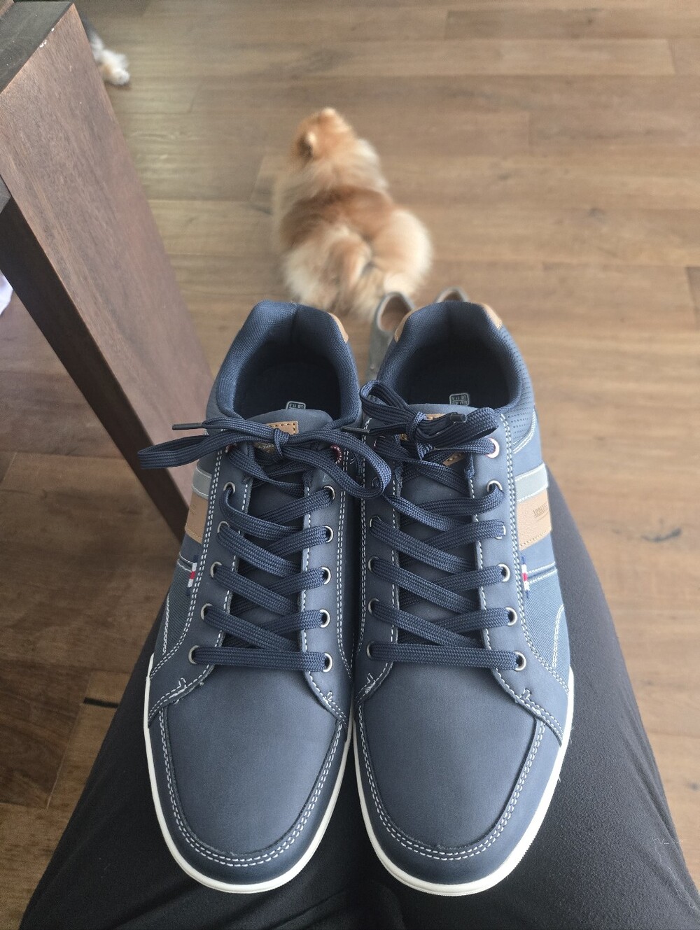 Arrigobello Men's Casual Navy Lace-Up Sneakers